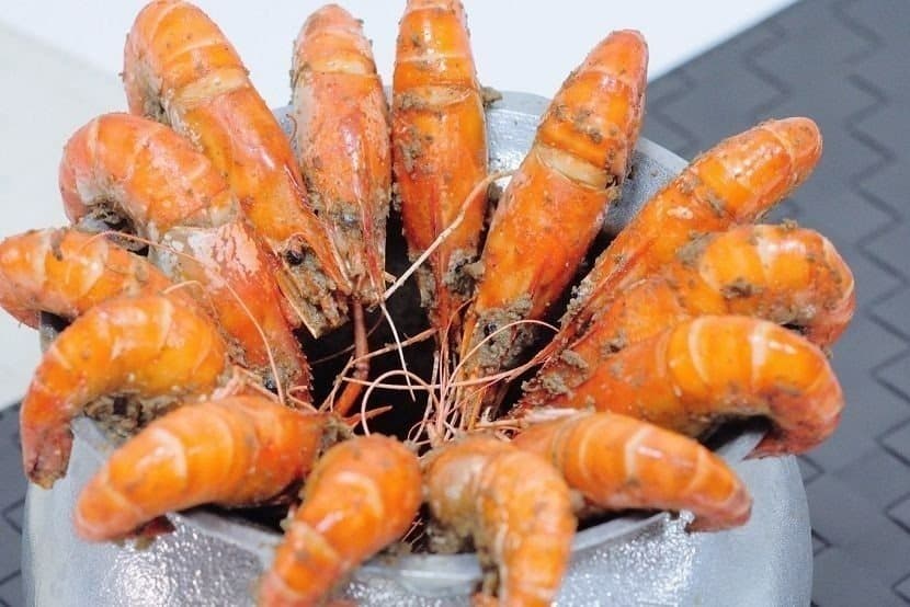 簡單烹調的胡椒蝦擁有滿滿的蛋白質